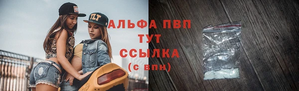 СК Дмитров
