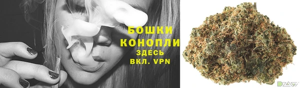 прущие крисы Елабуга