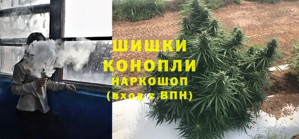 СК Дмитров