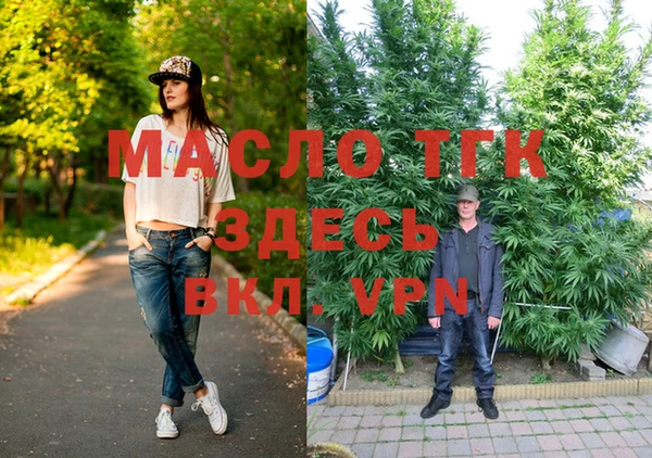 СК Дмитров