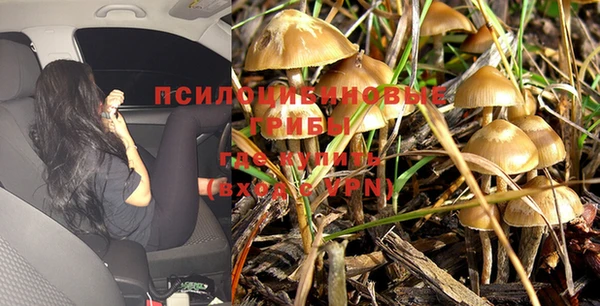 экстази Дмитриев