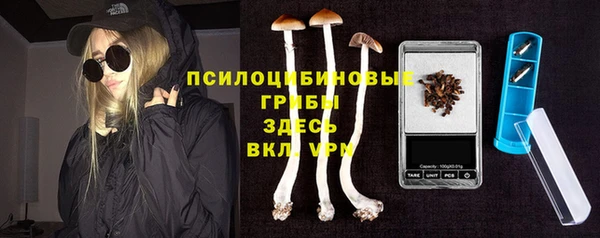 СК Дмитров