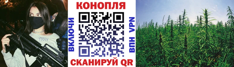 Конопля ГИДРОПОН  Купить  Калачинск 